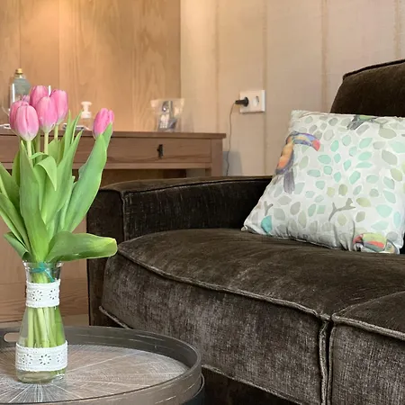 Ξενοδοχείο Boutique Sant Roc & 4*