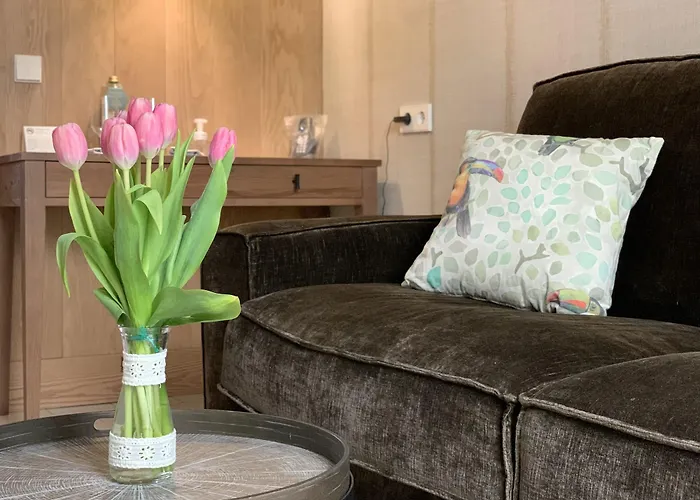 호텔 Boutique Sant Roc & 4*